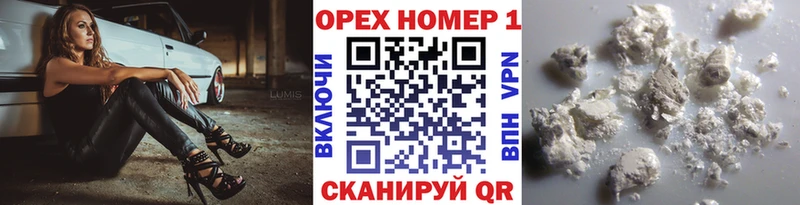Купить закладки  Лодейное Поле  КОКАИН FishScale 