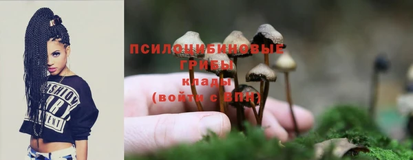 первитин Бородино