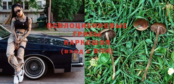дурь Бугульма