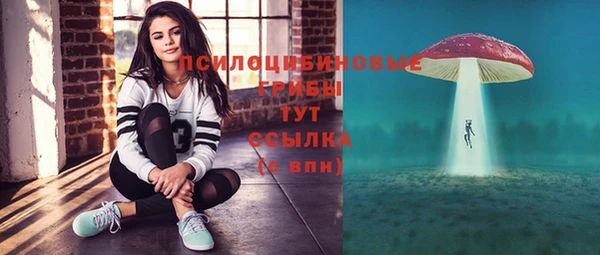 дурь Бугульма